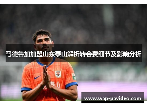 马德鲁加加盟山东泰山解析转会费细节及影响分析 马德鲁加加盟山东泰山解析转会费细节及影响分析