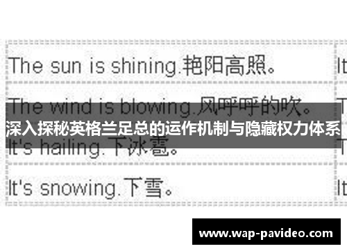 深入探秘英格兰足总的运作机制与隐藏权力体系