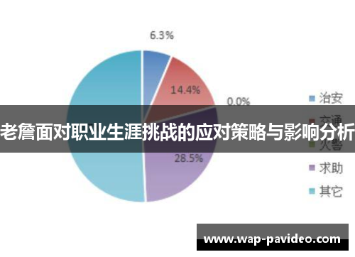 老詹面对职业生涯挑战的应对策略与影响分析