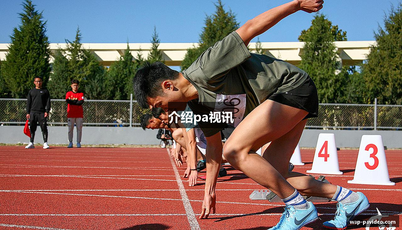 介绍pa视讯